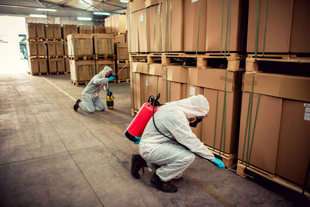 Best Termite Control Services  in Mansfield, MO