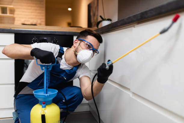 Best Termite Control Services  in Mansfield, MO