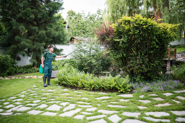 Best Pest Prevention Services  in Mansfield, MO