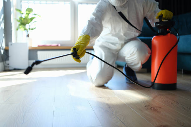 Trusted Mansfield, MO Pest Control Experts