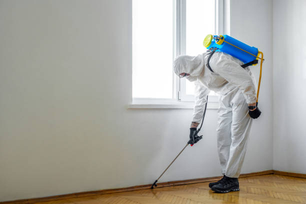 Best Residential Pest Control  in Mansfield, MO