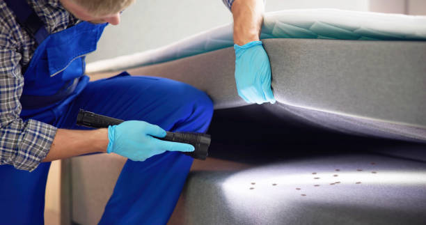 Best Best Pest Control Companies  in Mansfield, MO