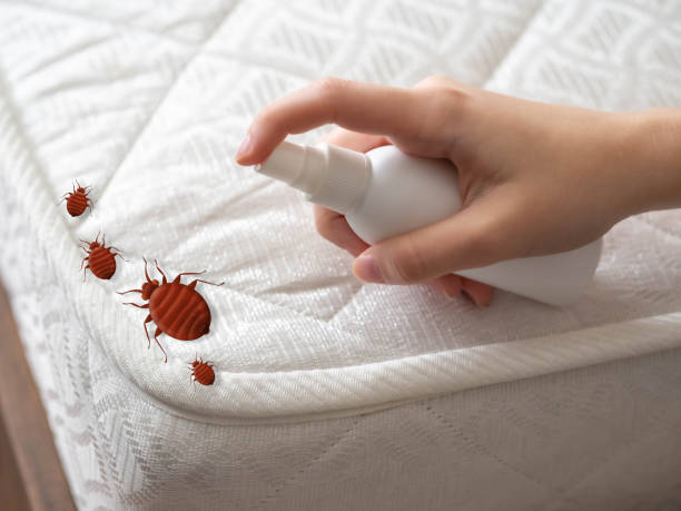 Pest Prevention Services in Mansfield, MO