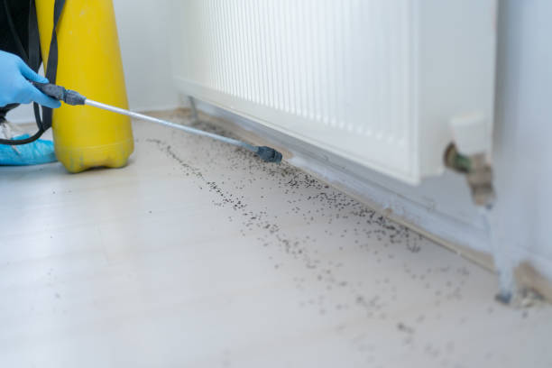 Best Pest Control Treatment  in Mansfield, MO