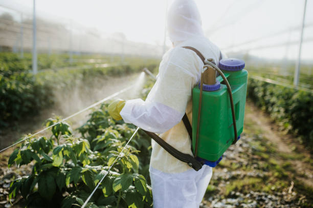 Best Cockroach Control Services  in Mansfield, MO